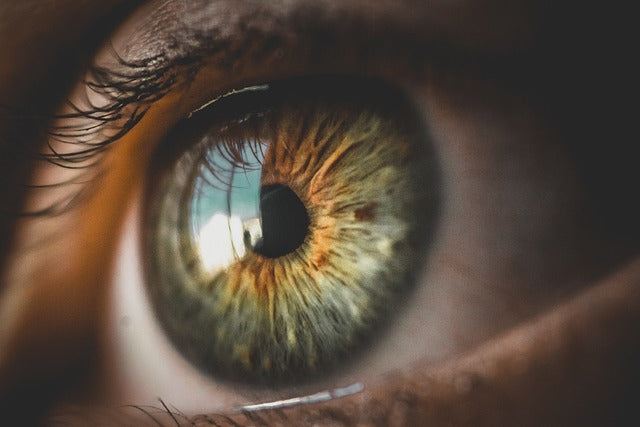 Neurodermitis Augen