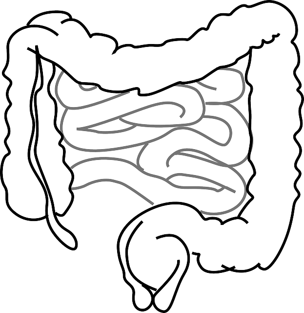 Epigenetik und die Darmgesundheit - Was man wissen muss!