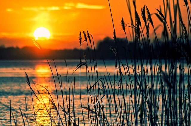 Die richtige Vitamin D Dosierung