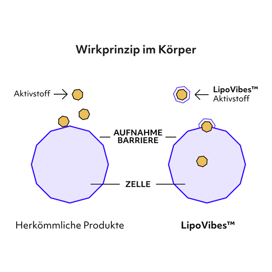 Niosome