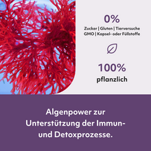 Laden Sie das Bild in den Galerie-Viewer, LipoVibes Astaxanthin Tropfen - Antioxidans aus Rotalgen
